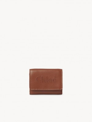 Petits Portefeuilles Chloe Sense Mini Tri-fold Marron | CHE-SR14276