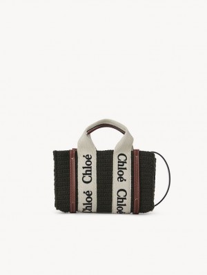 Sacs Crossbody Chloe Mini Woody Grise | CHE-SR13465