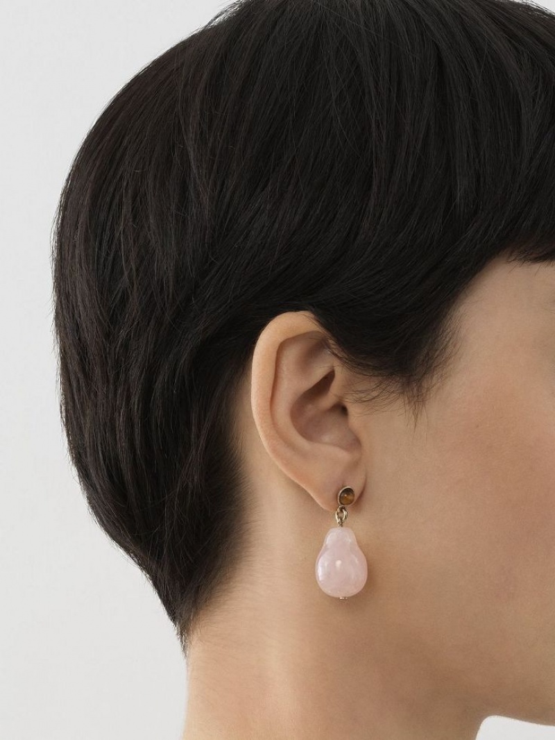 Boucles d'Oreilles Chloe Darcey Rose Marron | CHE-SR14414