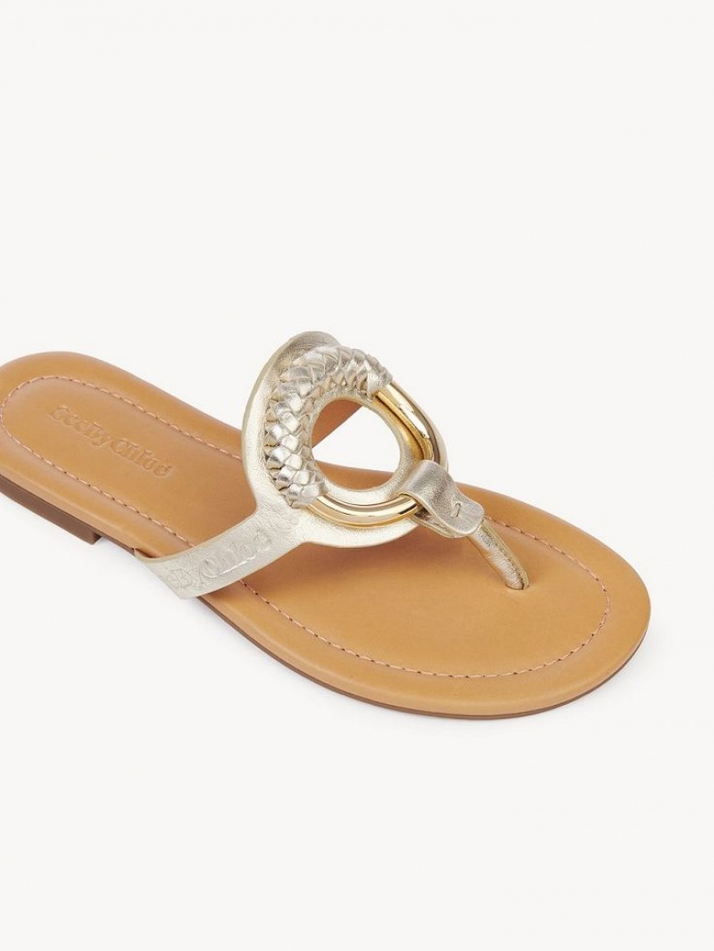 Chaussures Plates Chloe Hana Flip-flop Argent | CHE-SR14829