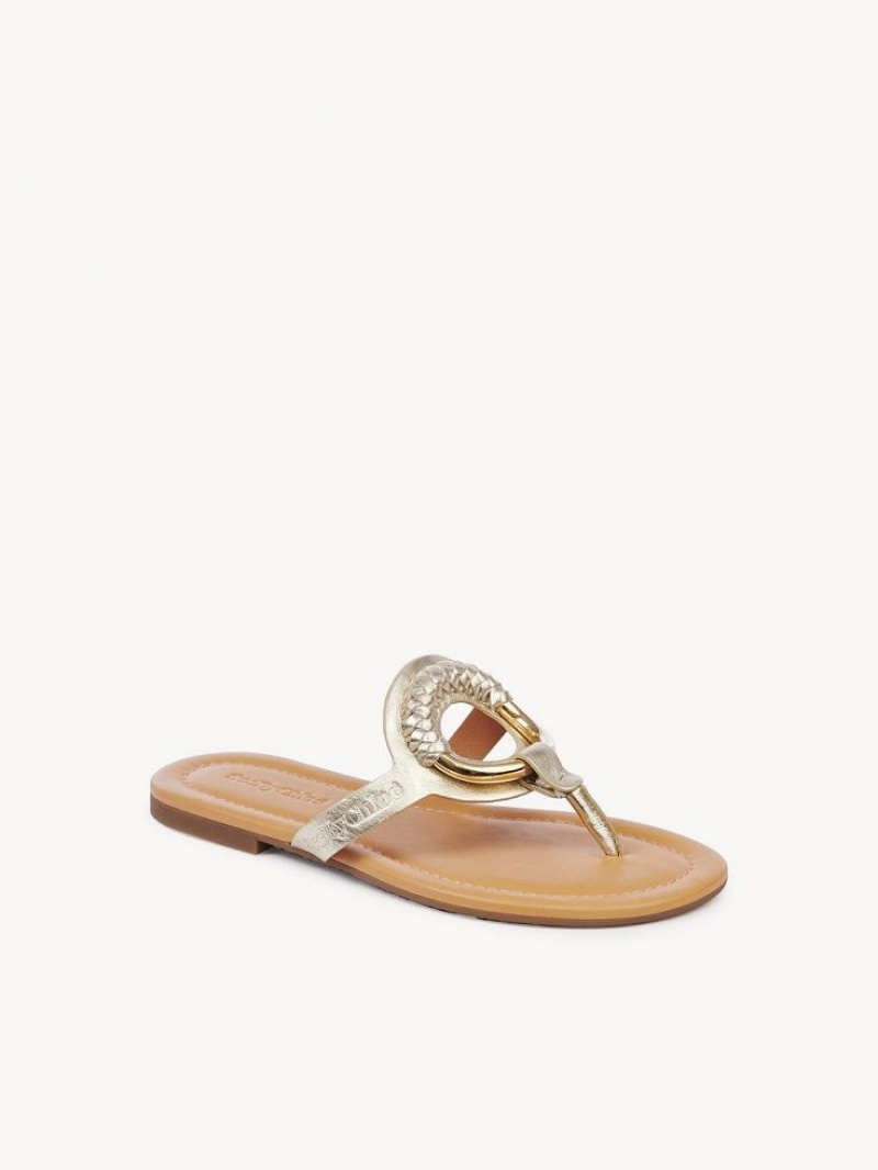 Chaussures Plates Chloe Hana Flip-flop Argent | CHE-SR14829