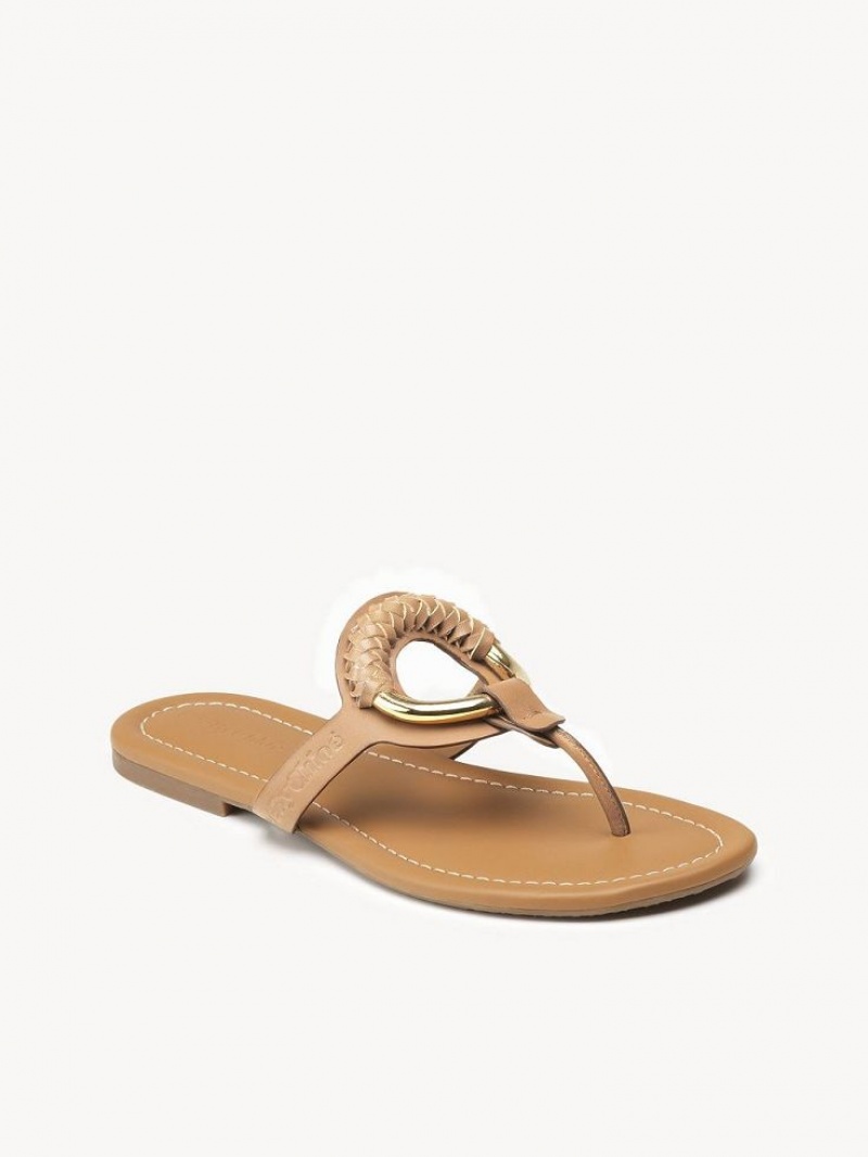 Chaussures Plates Chloe Hana Flip-flop Marron | CHE-SR14818