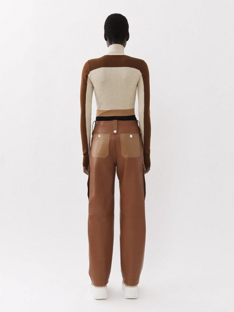 Knitwear Chloe Fitted High-neck Multicolore Marron | CHE-SR13947