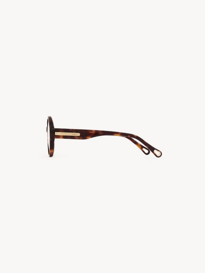 Lunettes Chloe Mirtha Havana | CHE-SR14583