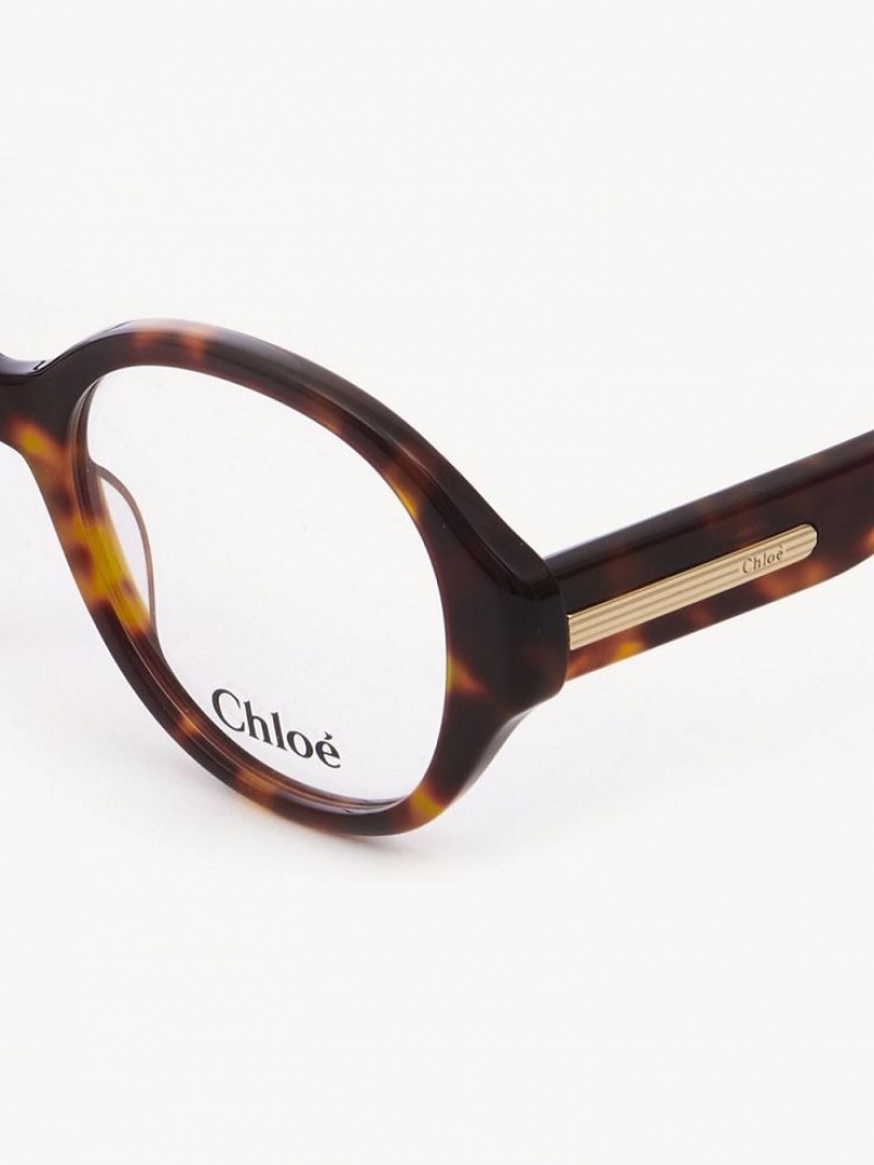 Lunettes Chloe Mirtha Havana | CHE-SR14583