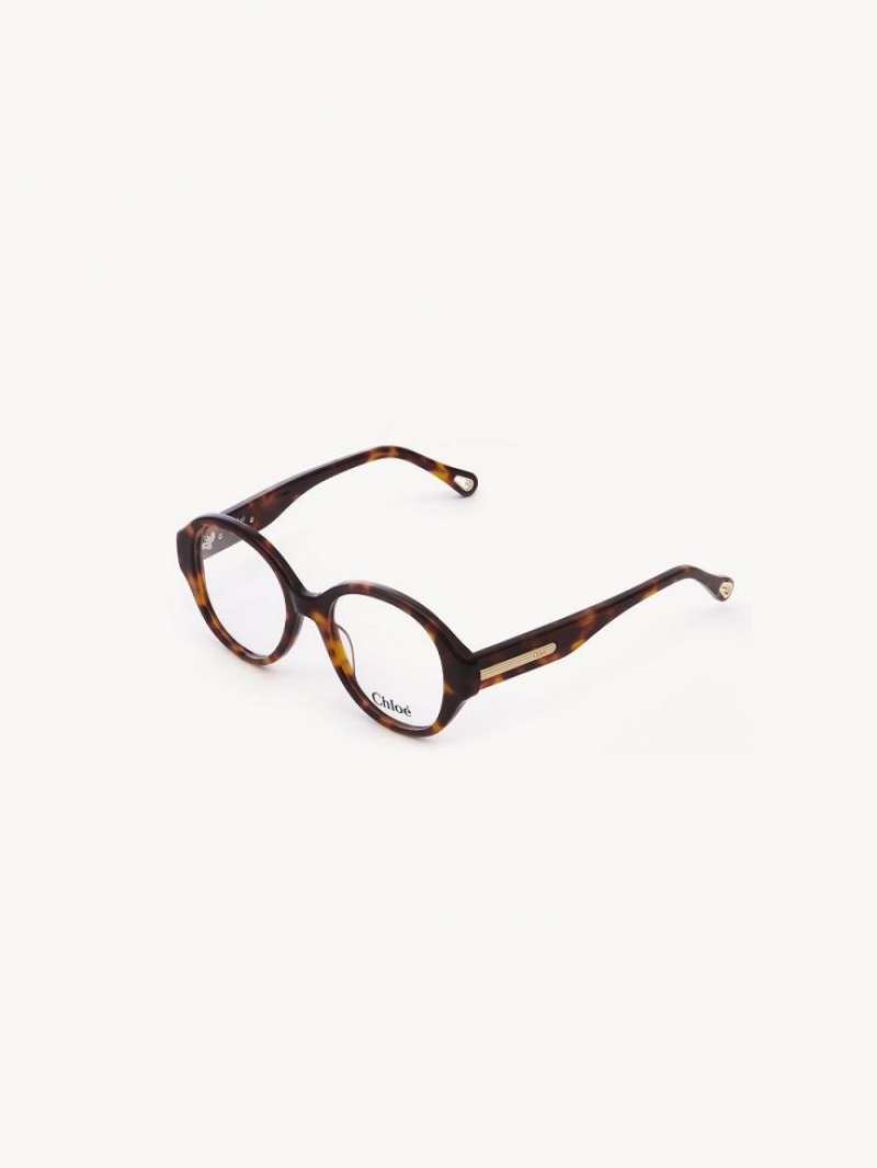 Lunettes Chloe Mirtha Havana | CHE-SR14583