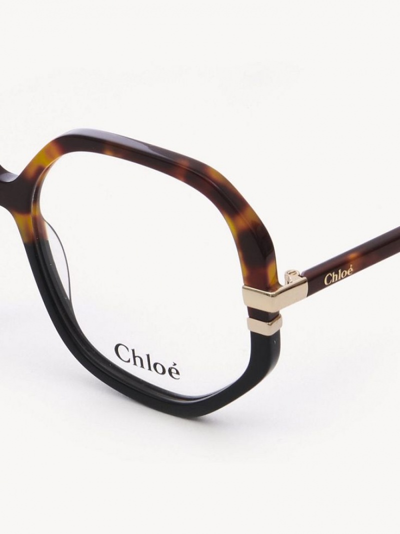 Lunettes Chloe West Havana | CHE-SR14584