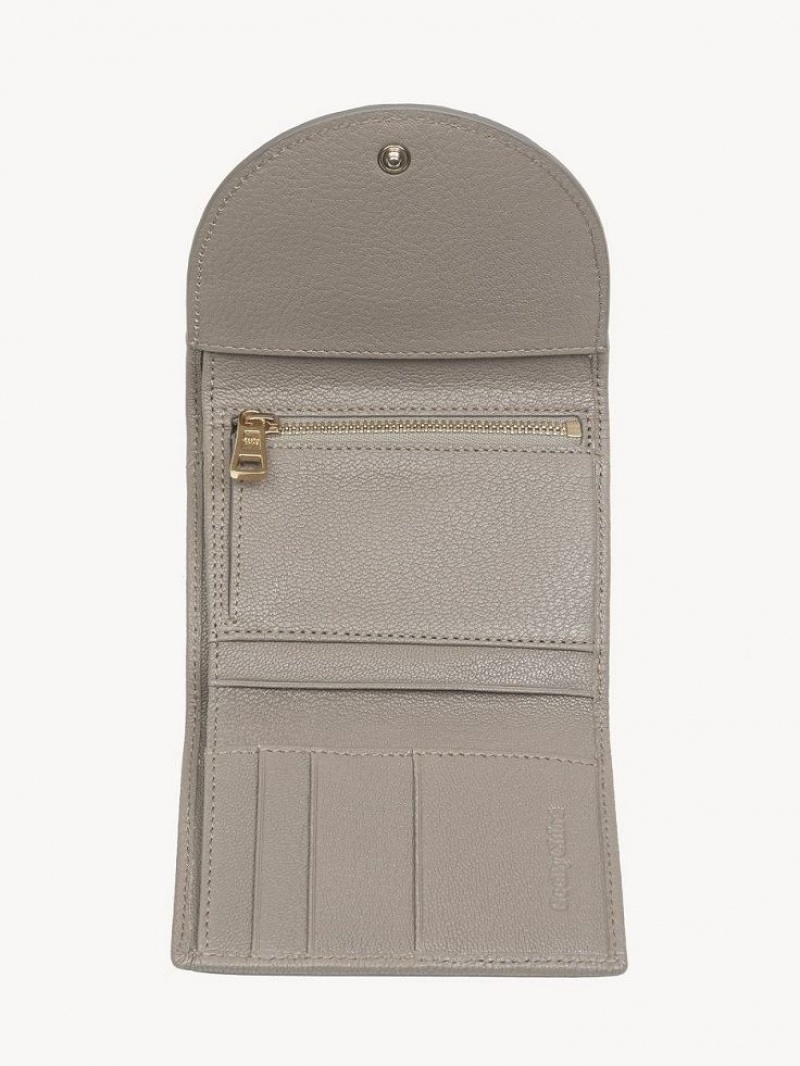 Petits Portefeuilles Chloe Hana Trifold Grise | CHE-SR14901
