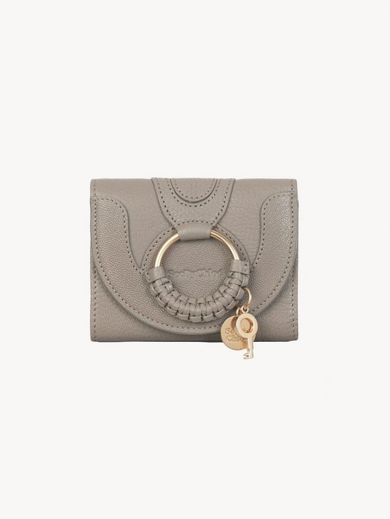 Petits Portefeuilles Chloe Hana Trifold Grise | CHE-SR14901