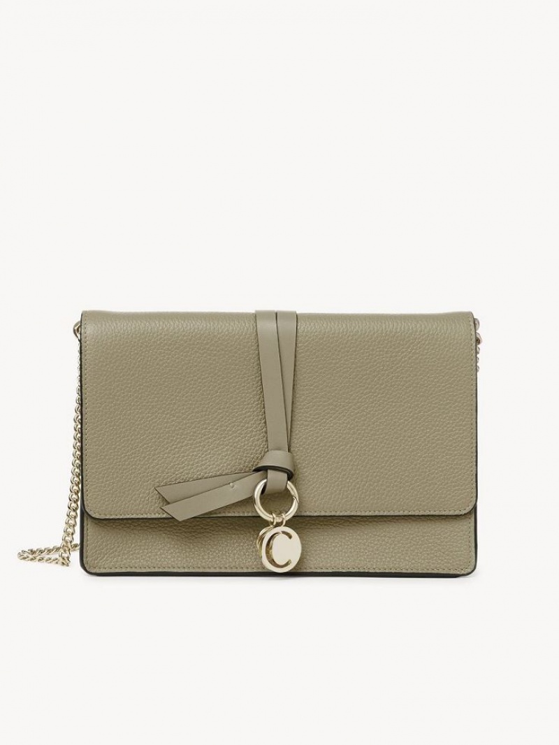 Sacs Crossbody Chloe Alphabet Clutch Vert | CHE-SR13481