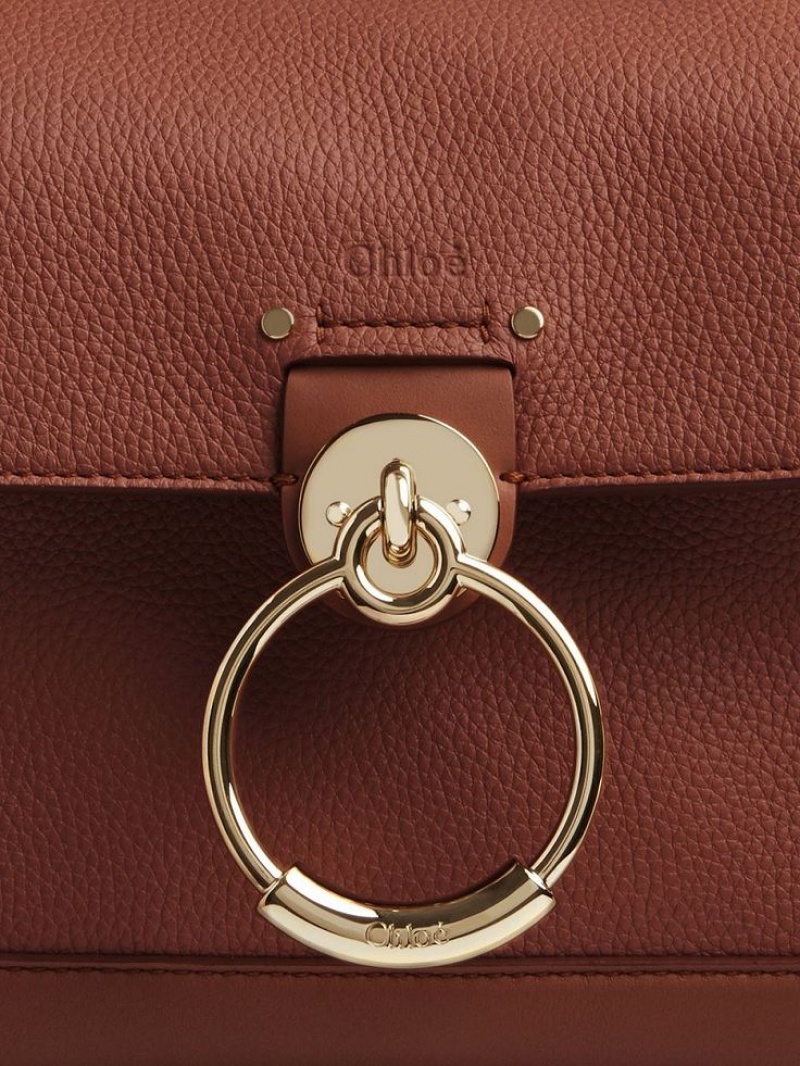 Sacs Crossbody Chloe Mini Tess Day Marron | CHE-SR13479