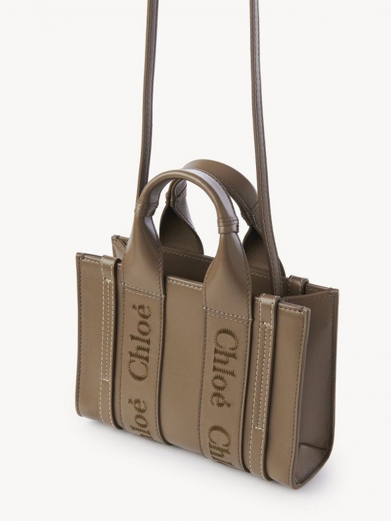 Sacs Crossbody Chloe Mini Woody Vert | CHE-SR13521