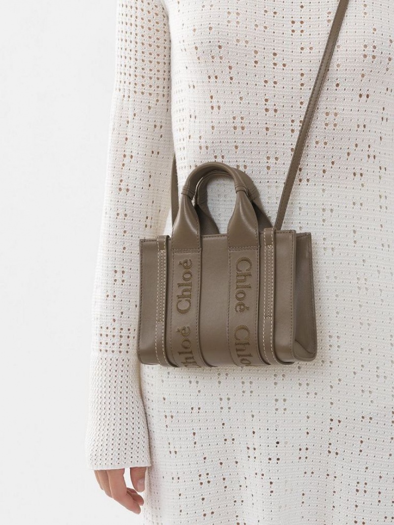 Sacs Crossbody Chloe Mini Woody Vert | CHE-SR13521