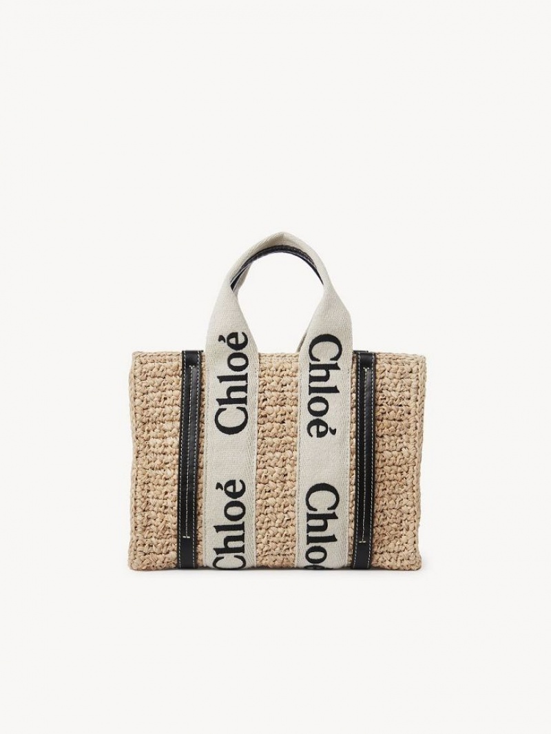 Sacs Crossbody Chloe Small Woody Marron | CHE-SR13625