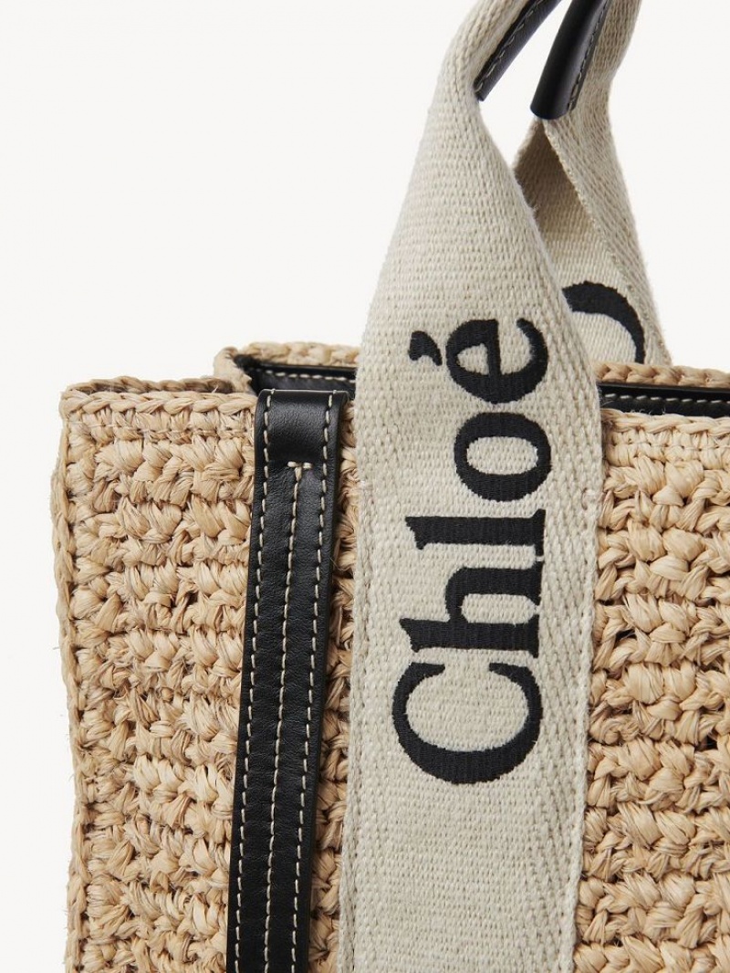Sacs Crossbody Chloe Small Woody Marron | CHE-SR13625