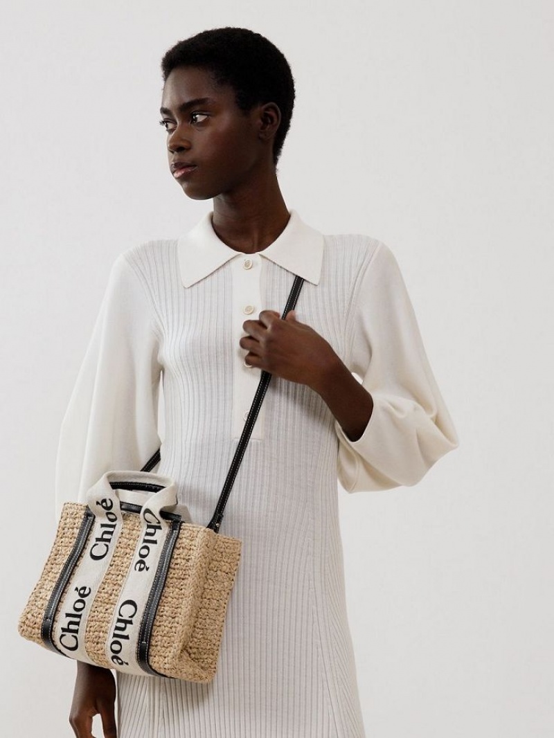 Sacs Crossbody Chloe Small Woody Marron | CHE-SR13625