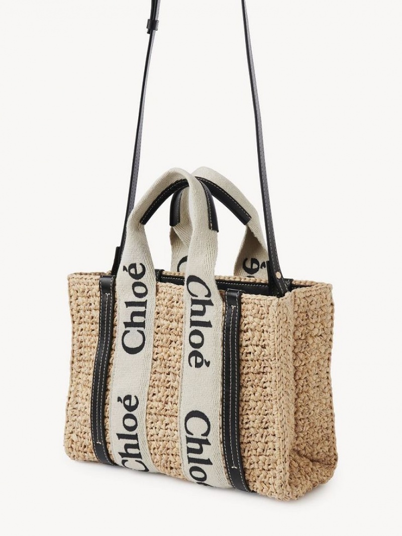 Sacs Crossbody Chloe Small Woody Marron | CHE-SR13625