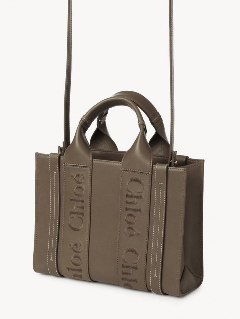 Sacs Fourre Tout Chloe Small Woody Vert | CHE-SR13339