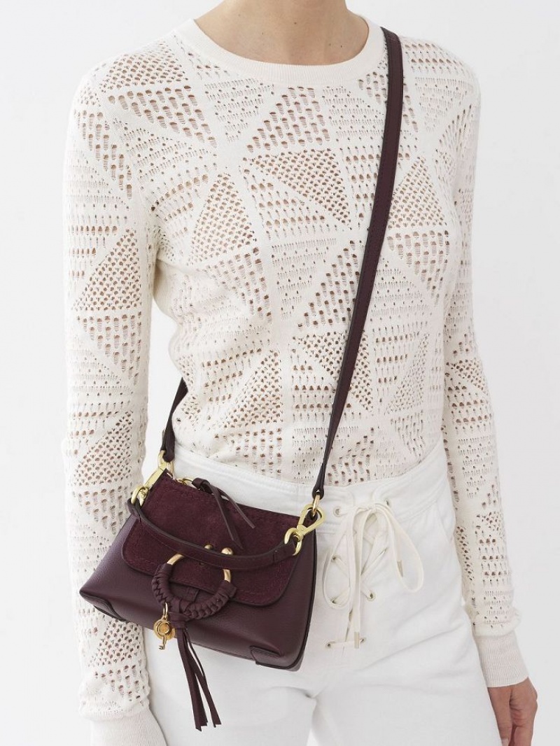 Sacs À Bandoulière Chloe Joan Mini Bordeaux | CHE-SR14634
